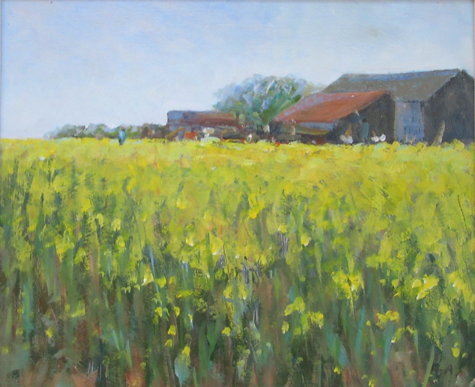 Rapeseed and Sheds